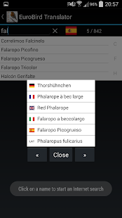 EuroBird Translator Screenshots 4