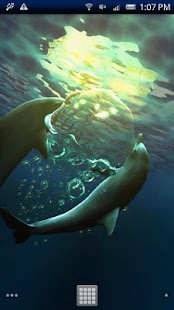 Free Dolphin Moonlight Trial APK