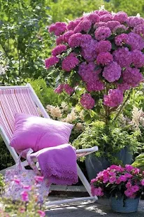 Garden Design Ideas