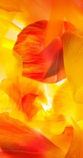 download Wallpapers (G,S5) free