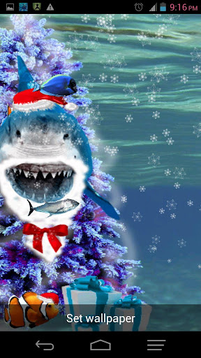 免費下載個人化APP|Angry Shark Pet Christmas Skin app開箱文|APP開箱王