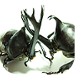 Beetle Wars Apk