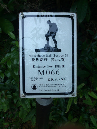 M066 麥理浩徑