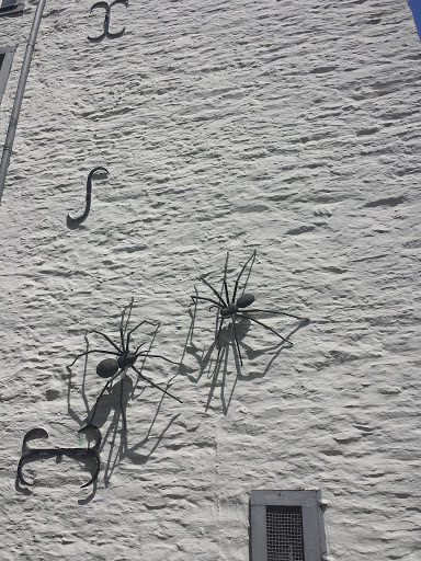 Monschau Spiders