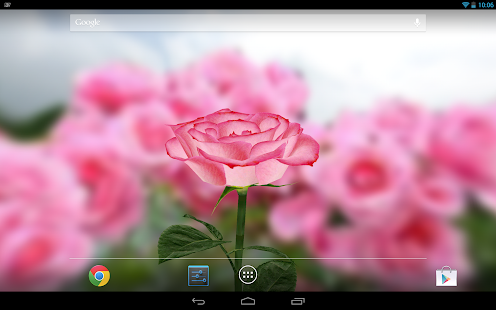 3D Rose Live Wallpaper(圖4)-速報App
