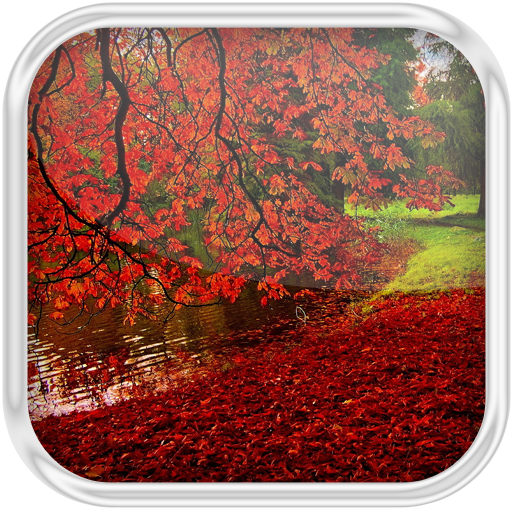 Autumn Leaves in Water 娛樂 App LOGO-APP開箱王