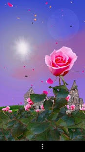 Rose Garden Free