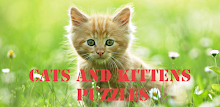 Cats and Kittens Puzzles APK