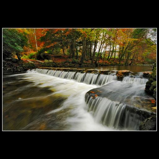 Autumn Water live wallpaper