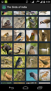 The Birds of India Screenshots 1