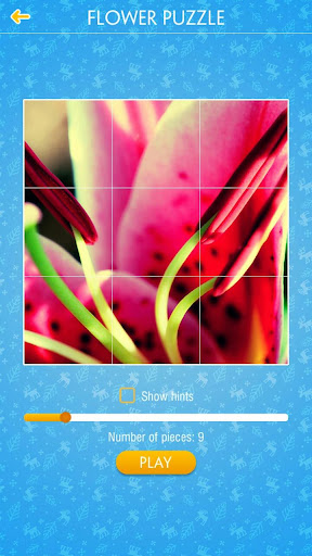 Jigsaw Puzzle: Flower