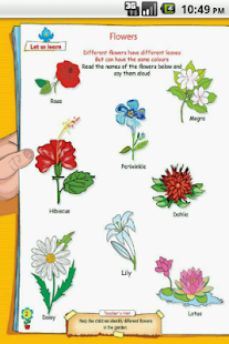 LKG- FLOWERS Screenshots 1