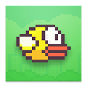 Flappy Bird icon
