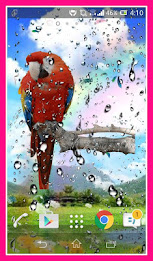 Parrot Live Wallpaper poster 2