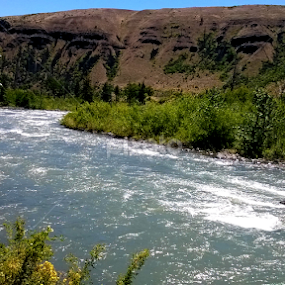 The River by Julia Arredondo - Landscapes Waterscapes