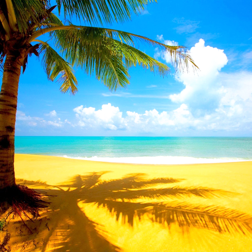 Best Beach Wallpaper HD LOGO-APP點子