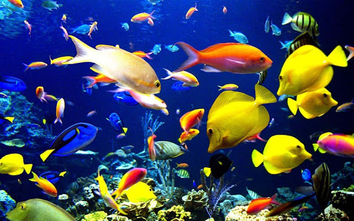 3D Aquarium fish and plants