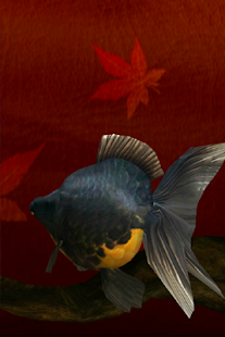 Gold Fish 3D(圖5)-速報App