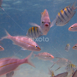 Lookin' at me? by Donald Henninger -  