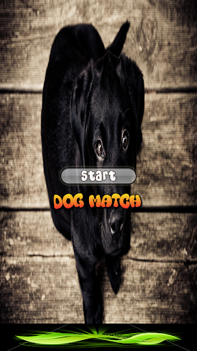 Dog Games For Kids Free