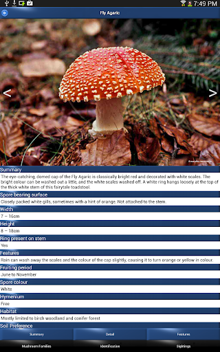 【免費書籍App】Mushroom Id: USA & Canada-APP點子