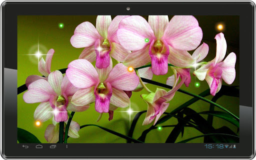 【免費個人化App】Orchid Amazing live wallpaper-APP點子