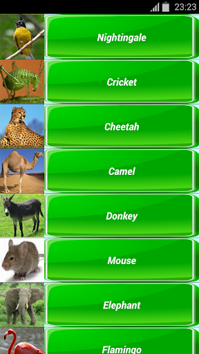 免費下載娛樂APP|Animal Sounds app開箱文|APP開箱王