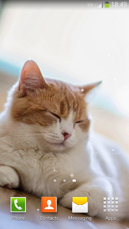 Gambar Animasi  Kucing  Bergerak Gambar Animasi  Keren 