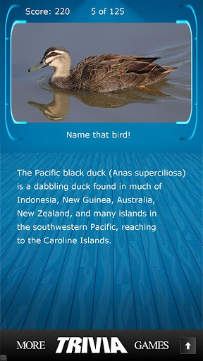 【免費益智App】Name that Bird Trivia-APP點子