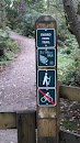 Sword Fern Trail