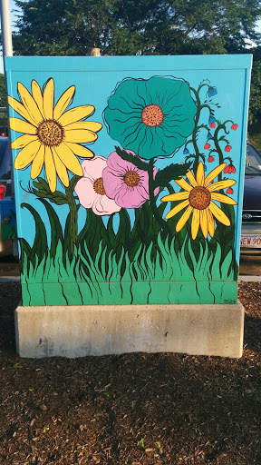 Flowers Painted Electrical Box