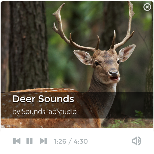 Deer Sounds