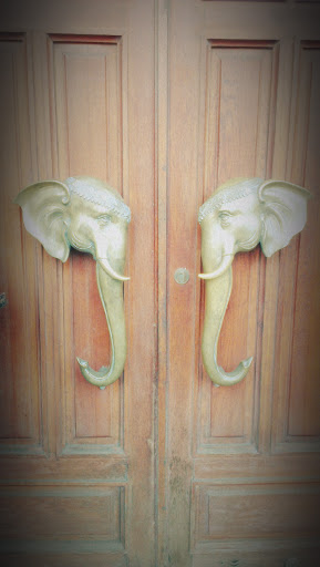 2 elephants 