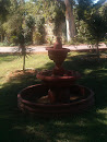 Incektum Fountain