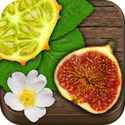 Exotic Fruits & Vegetables PRO 1.0.17 Icon