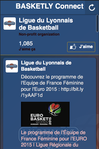 Basket Lyonnais