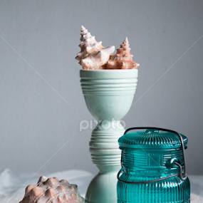 Remnants of the sea by Elsie Nisonen - Artistic Objects Still Life