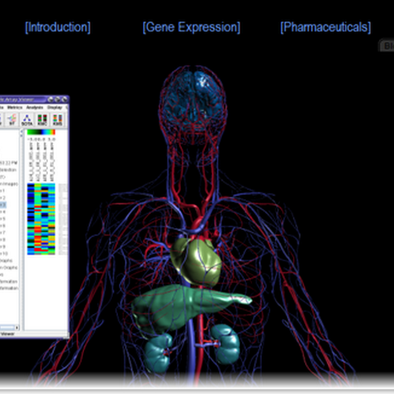 The CAVEman 4D visual system - Visual Genomics