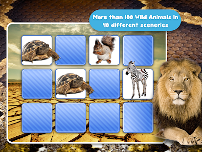Memory Wildlife Photo For Kids Screenshots 4