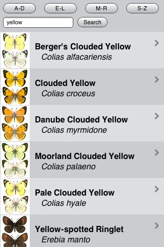 Butterflies of NW Europe Screen 2