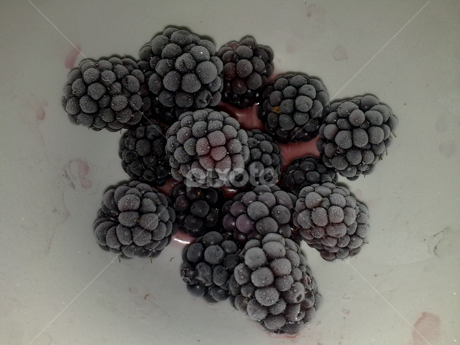 Frozen berries by Vladimir Bogovac - Food & Drink Fruits & Vegetables
