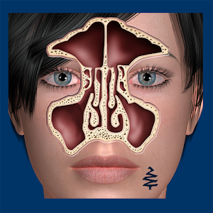 Sinus ID logo
