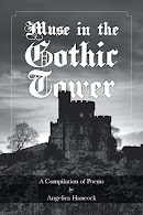 Muse in the Gothic Tower cover