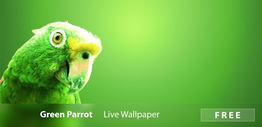 Изображения Green Parrot Live Wallpaper на ПК с Windows