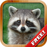 Cover Image of Download Animals for Kids, Planet Earth Animal Sounds 7.2 APK