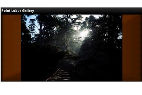 How to install Point Lobos Gallery patch 1.0 apk for android