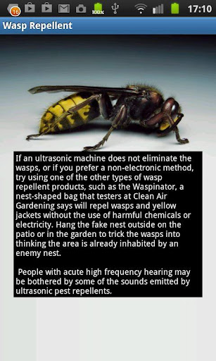 Wasp Repellent Prank
