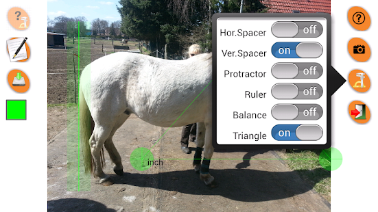 Horse Conformation Screenshots 6