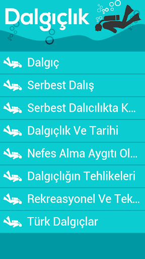 Dalgıçlık