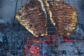 Cajun blackened fish steaks